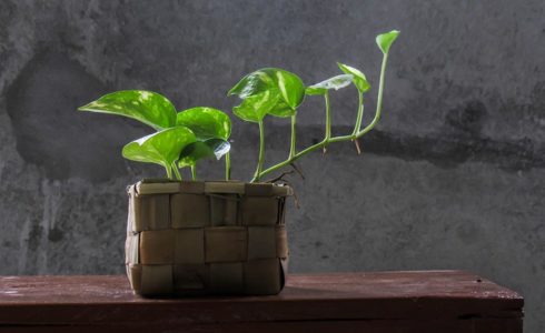 Hiring For Soft Skills In A Remote World