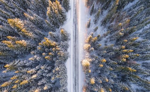 Hiring For Soft Skills In A Remote World